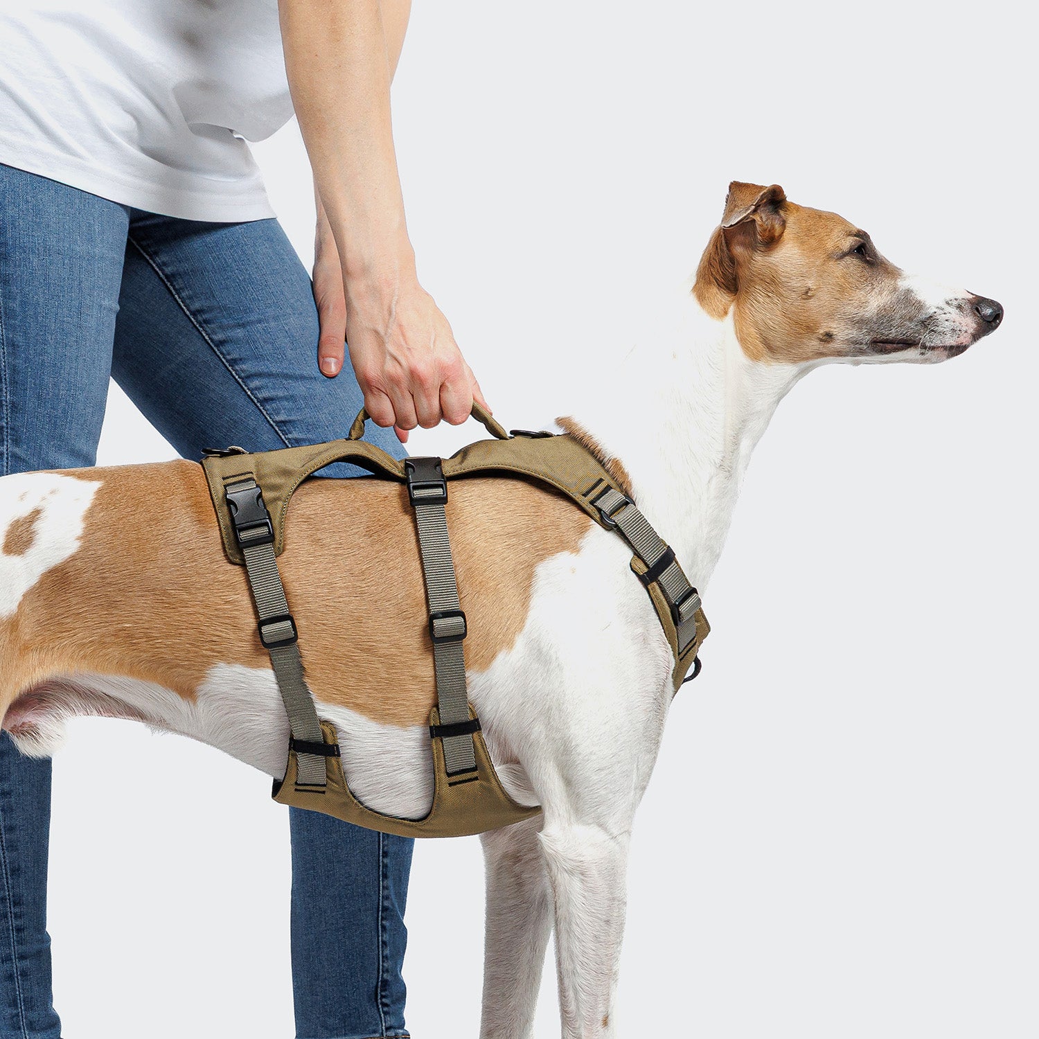 cloud7-y-safe-sicherheitsgeschirr-aktiv-khaki-grey-2 image 4