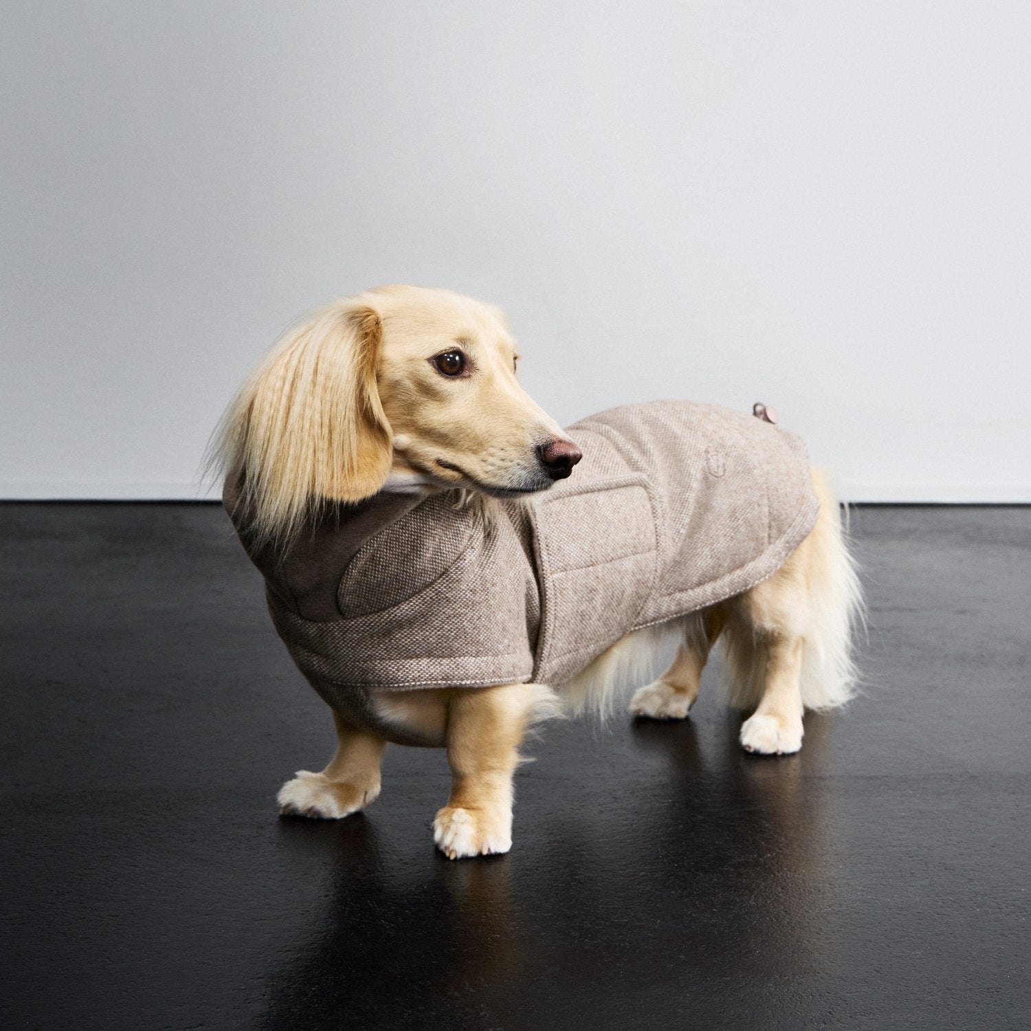 cloud7-brooklyn-tweed-hundemantel-beige-f-r-dackel image 7