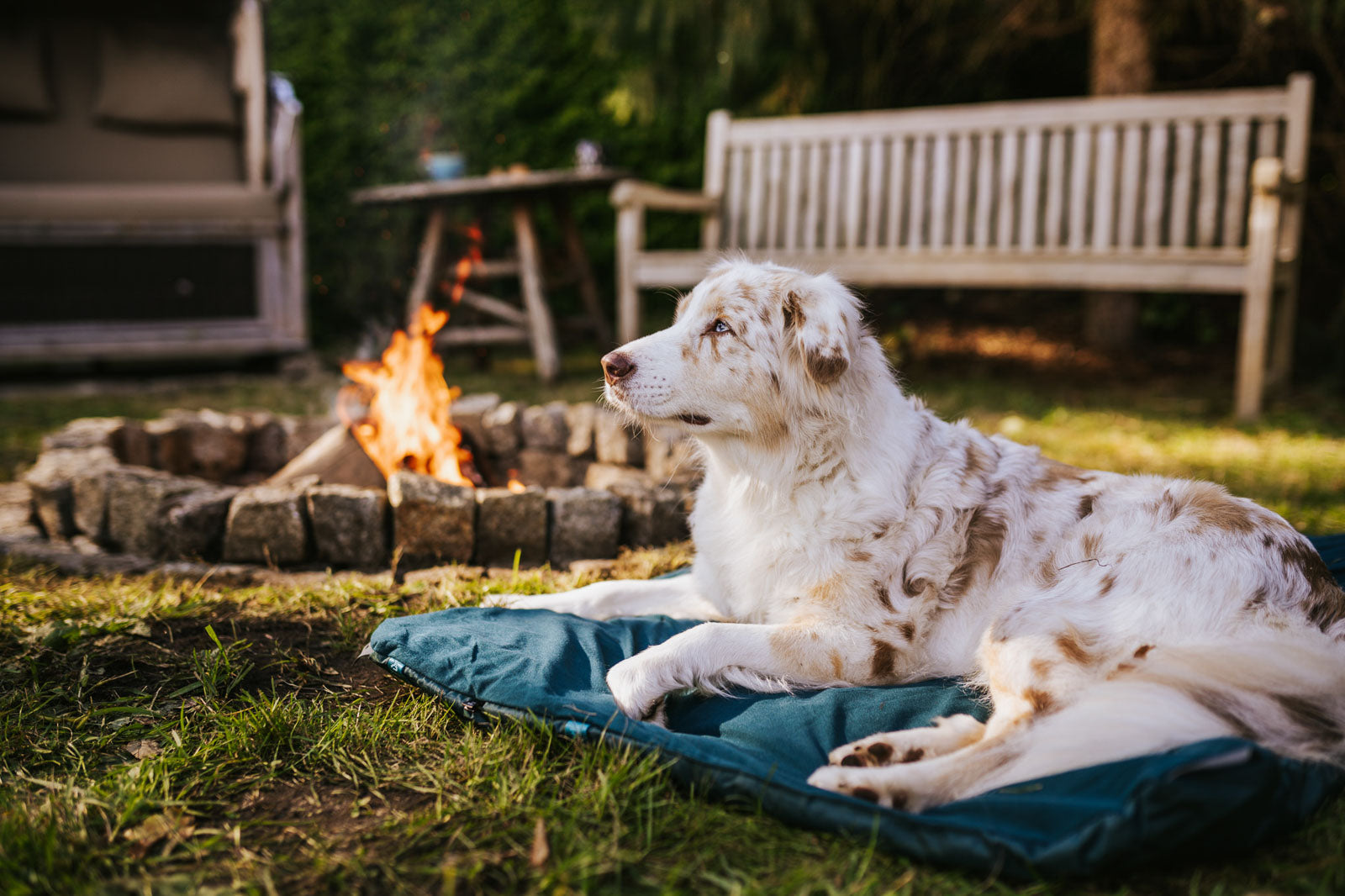 non-stop-dogwear-trekking-dog-bed-leichte-camping-hundematte image 2