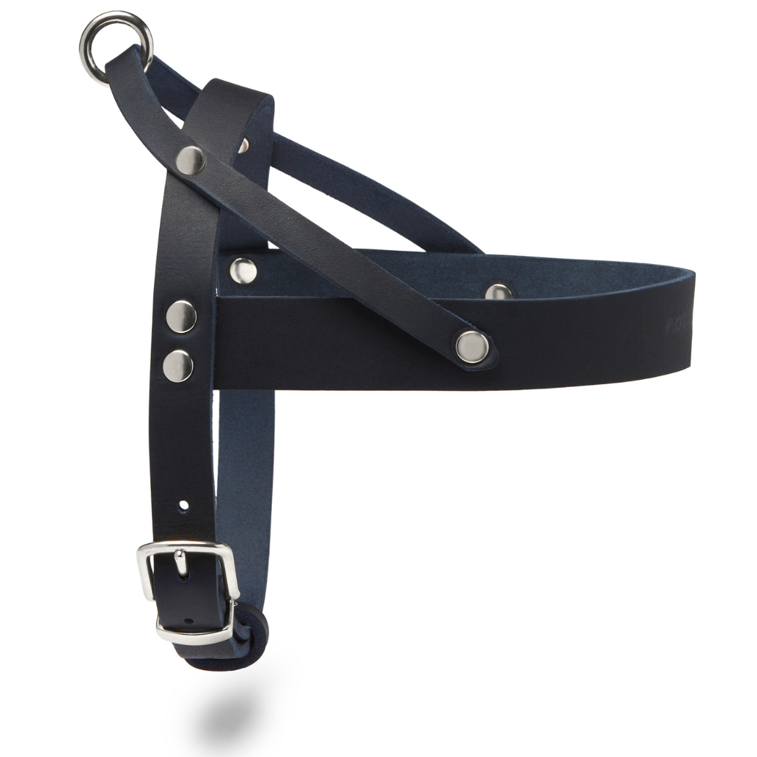 molly-and-stitch-butter-leather-hundegeschirr-navy-blue image 2