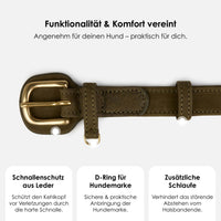 william-walker-hundehalsband-aus-wasserfestem-nubukleder-mit-messing image 6