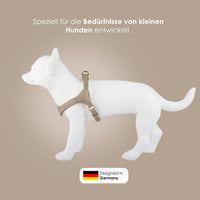 william-walker-step-in-leder-geschirr-pico-f-r-kleine-hunde-norwegergeschirr-aus image 8