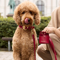 william-walker-luxe-wildleder-hundeleine-lambrusco-bordeauxrot image 7
