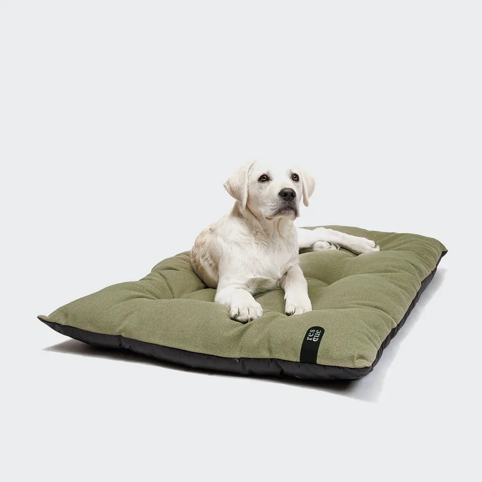 cloud7-resc7ue-dog-pillow-sage-hundekissen image 1