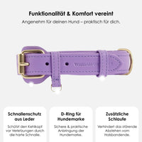 william-walker-leder-hundehalsband-lavender-lila image 3