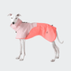 cloud7-aktiv-performance-hunderegenmantel-peach-neon-pink image 8