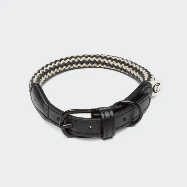 cloud7-mauerpark-zigzag-black-hundehalsband-vegan image 1