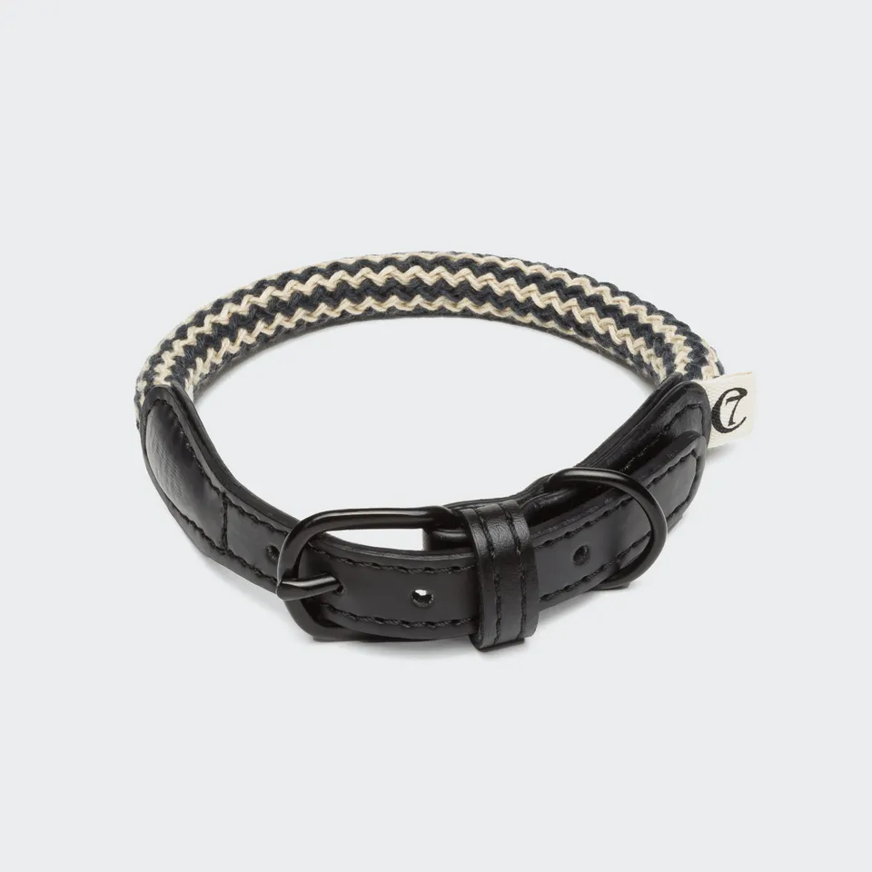 cloud7-mauerpark-zigzag-black-hundehalsband-vegan image 1