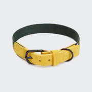 cloud7-maksimir-park-hundehalsband-green-yellow image 3