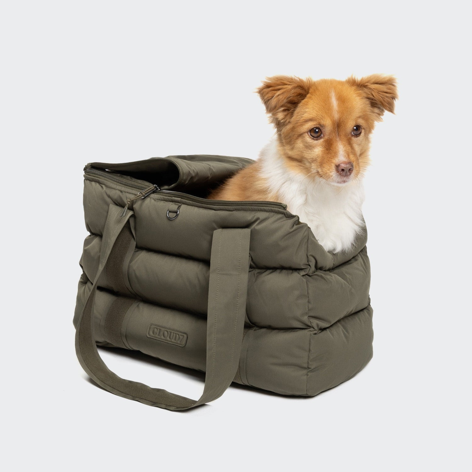 cloud7-montreal-hundetasche-light-olive-tragetasche-f-r-kleine-hunde-bis-10-kg image 2