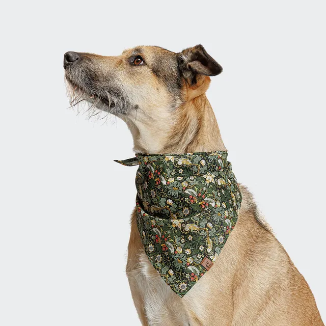 cloud7-bandana-hundehalstuch-strawberry-thief image 1