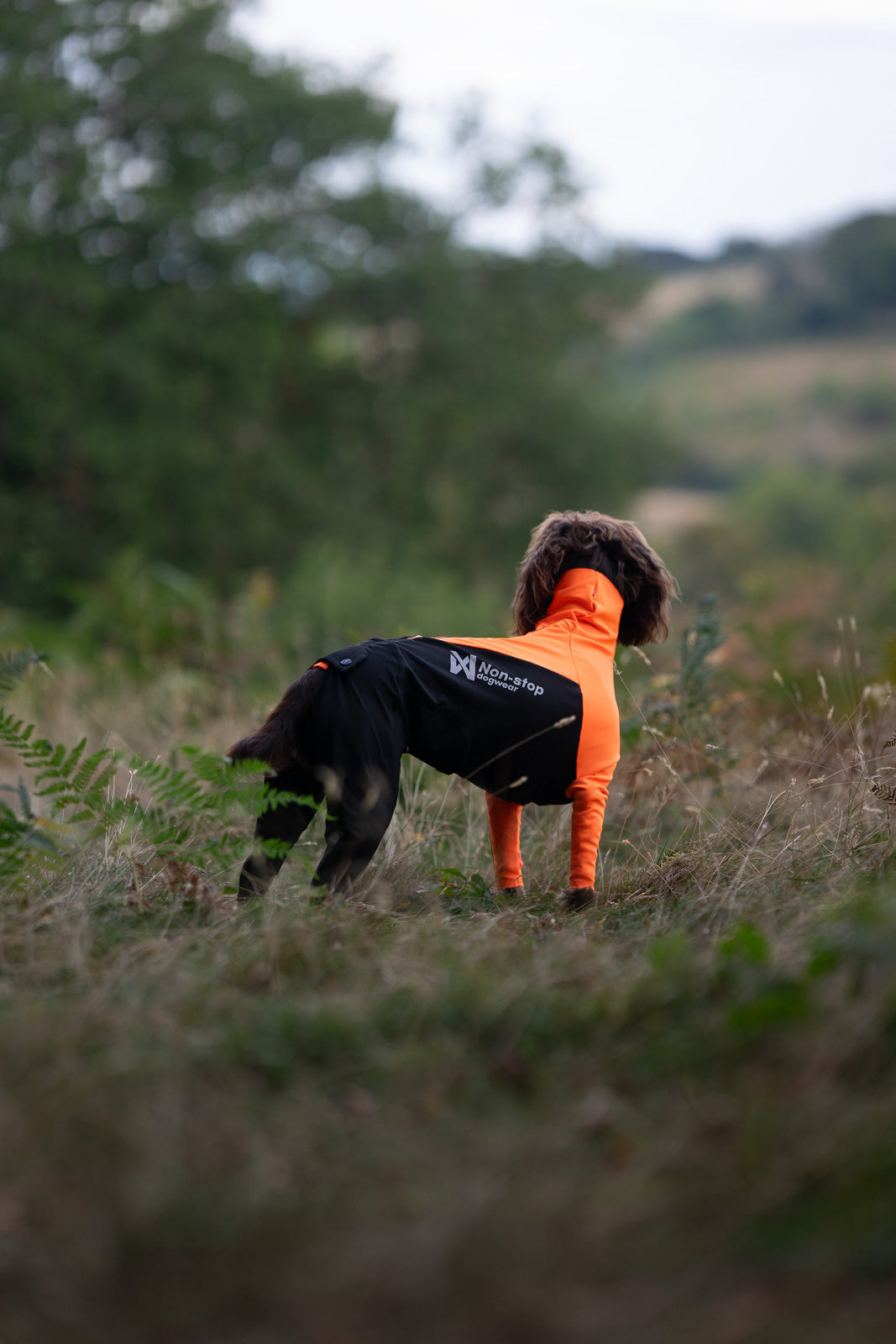 non-stop-dogwear-protector-suit-f-ganzk-rper-schutzanzug-f-r-hunde image 2