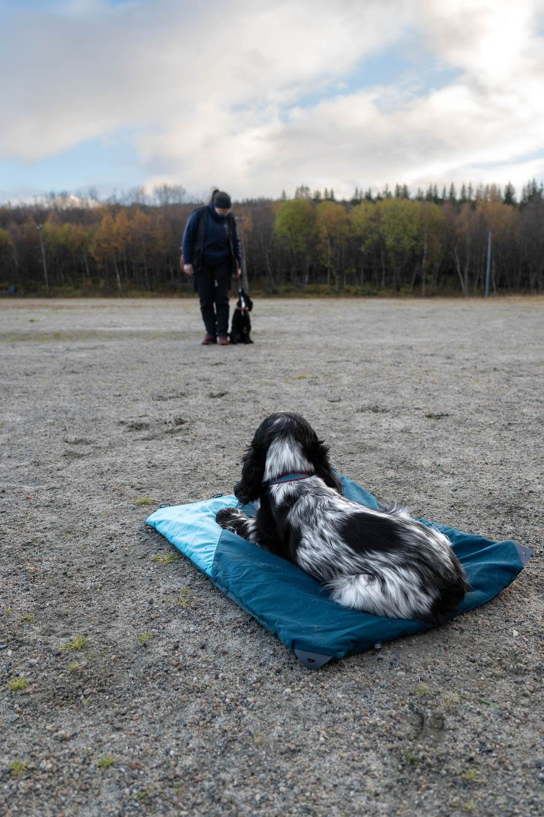 non-stop-dogwear-trekking-dog-bed-leichte-camping-hundematte image 3