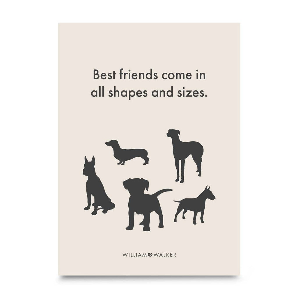 william-walker-postkarte-best-friends-gru-karte-shapes-and-sizes image 1