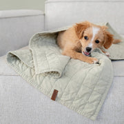cloud7-lttl-faded-moss-hundedecke-aus-percale image 7