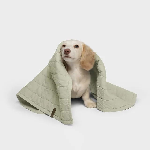 cloud7-hundedecke-lttl-faded-moss-hundedecke-f-r-welpen-und-kleine-hunde image 1