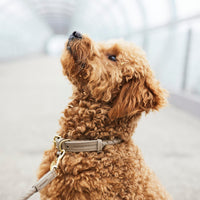 william-walker-leder-hundehalsband-twisted-sand-beige-rindsleder-geflochten image 6
