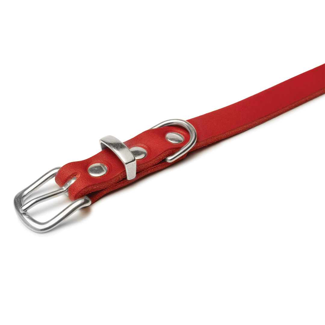 molly-and-stitch-butter-leather-hundehalsband-chili-red image 4