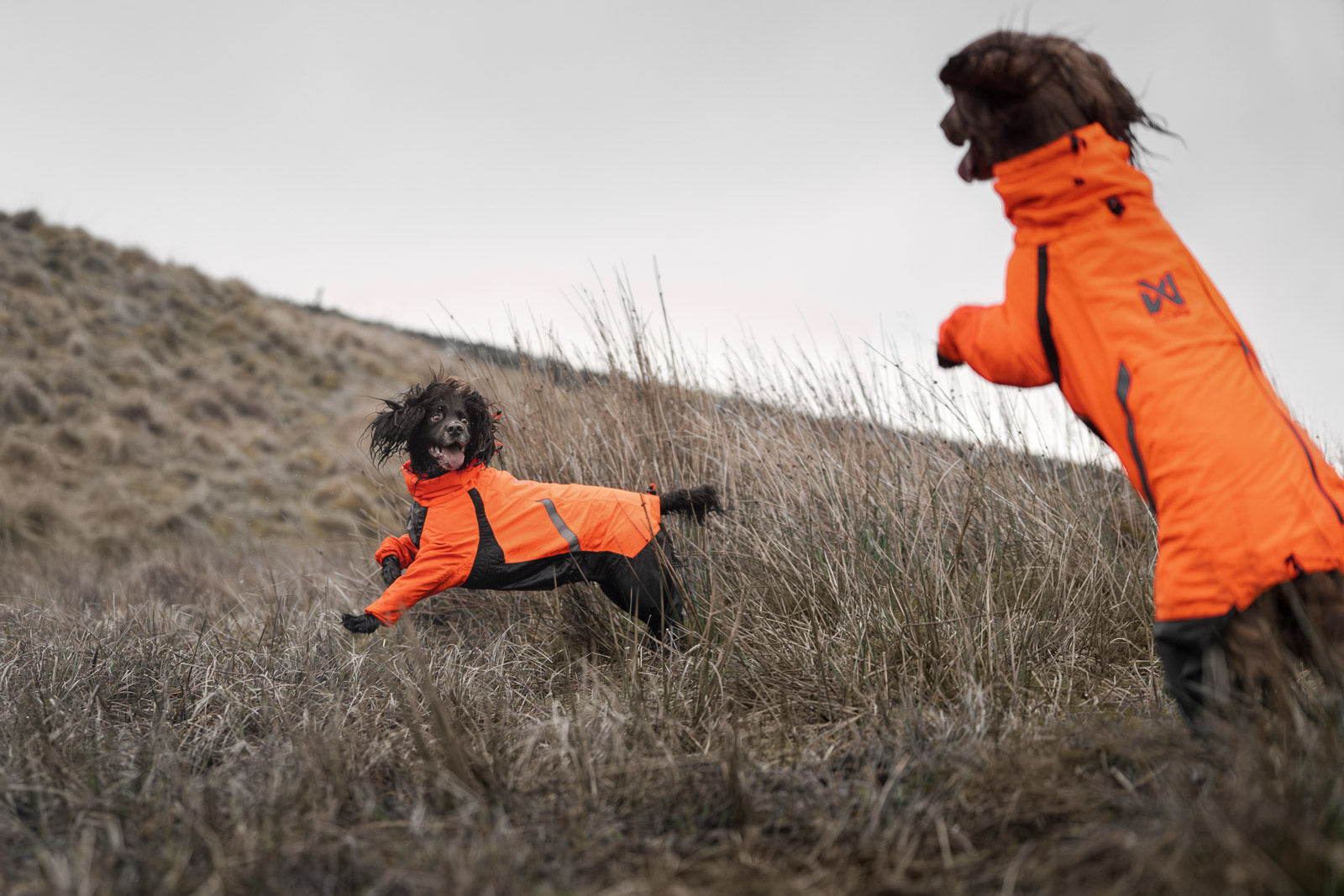 non-stop-dogwear-fjord-overall-raincoat-hunderegenmantel-overall image 5