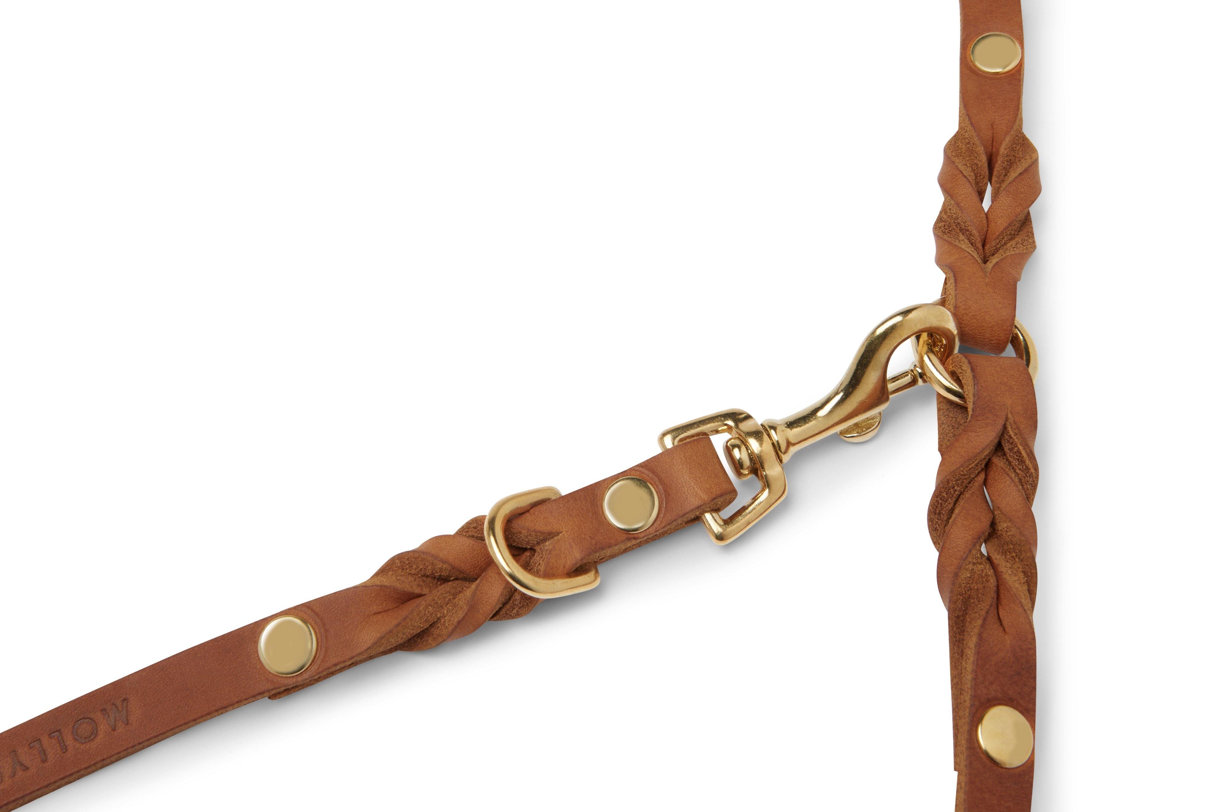 molly-and-stitch-butter-leather-3-fach-verstellbare-hundeleine-sahara-cognac image 5