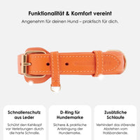 william-walker-leder-hundehalsband-amber-orange image 3