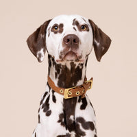 william-walker-leckerlibeutel-prestige-caramel-braun-handgeflochtenes-nappaleder image 2