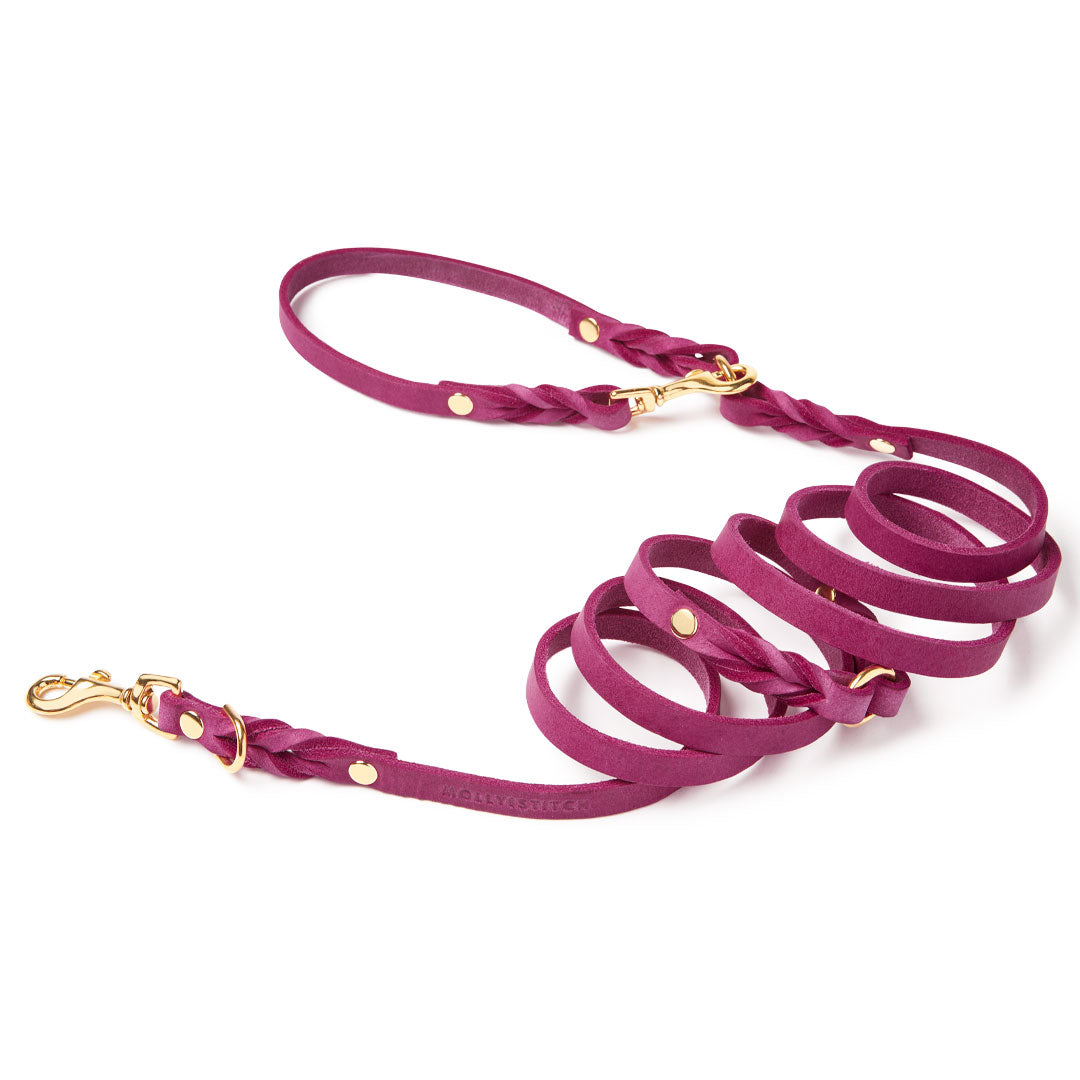 molly-and-stitch-butter-leather-3-fach-verstellbare-hundeleine-200-cm-flamingo image 4