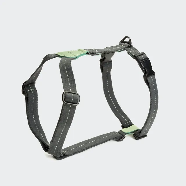 cloud7-hundegeschirr-madeira-mint-y-geschirr-aus-baumwolle-und-leder image 1