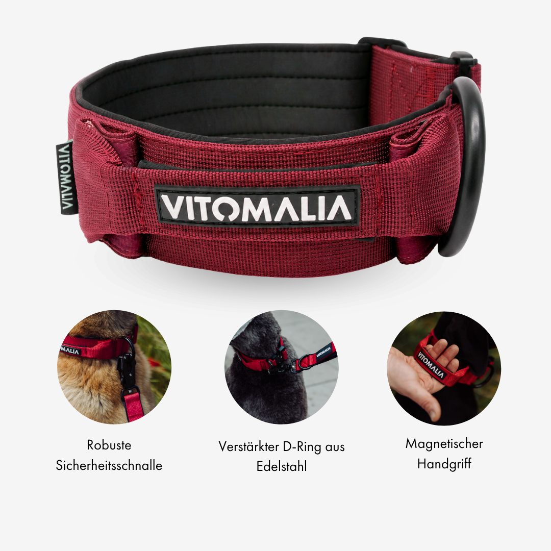 vitomalia-extreme-edition-hundehalsband-bordeaux-sicherheitsverschluss-magnet-ha image 4