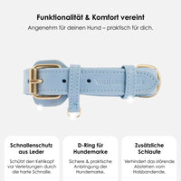 william-walker-leder-hundehalsband-sky-hellblau image 3