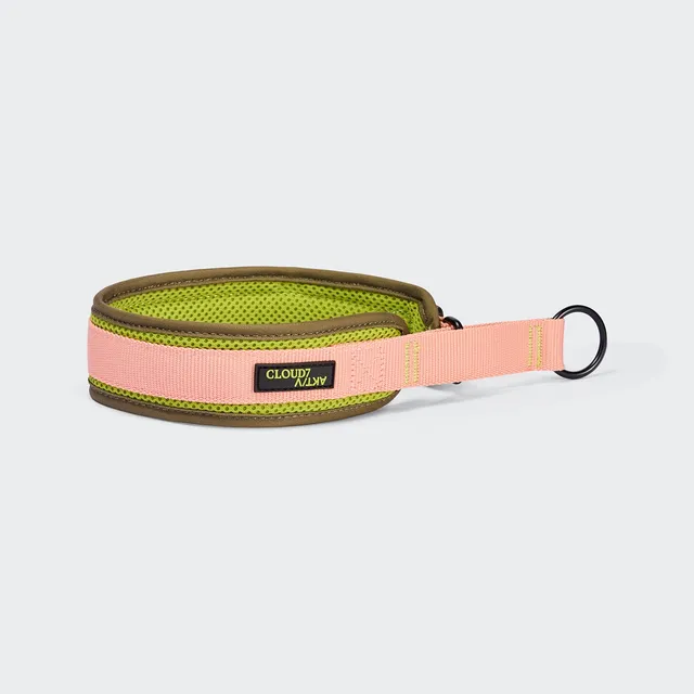 cloud7-c-1-martingale-collar-aktiv-halsband-neon-green-peach image 1