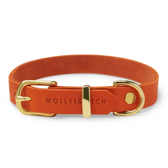 molly-and-stitch-butter-leather-hundehalsband-mango image 1