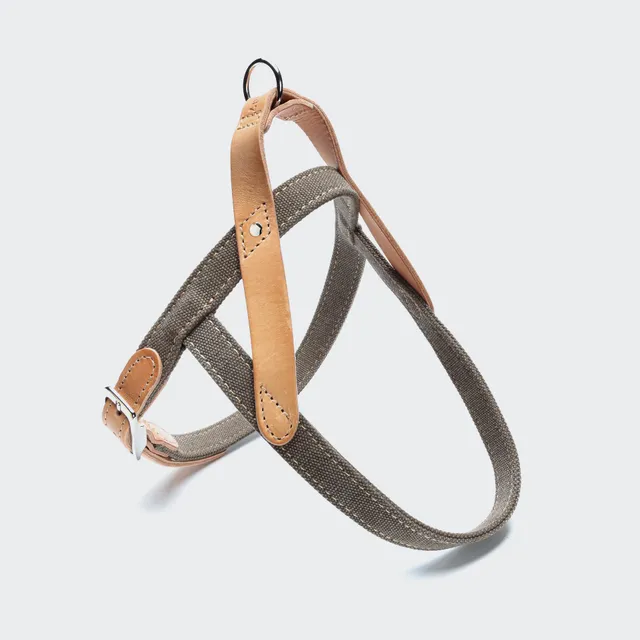 cloud7-harness-tivoli-greige-norweger-hundegeschirr-aus-canvas-und-leder image 1