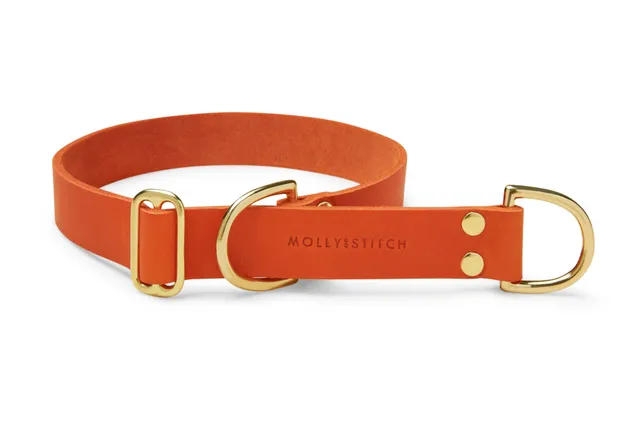 molly-and-stitch-butter-leather-retriever-halsband-mango image 1
