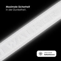 william-walker-jacquard-nylon-hundehalsband-lunar-reflektierend-grau image 2