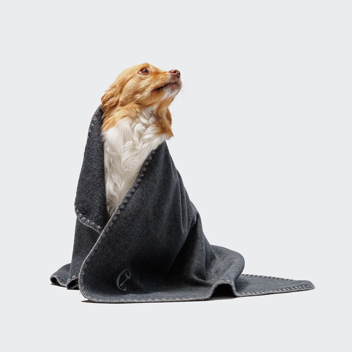 cloud7-hundedecke-soft-fleece-dark-grey-kuscheldecke-s-m-l image 5
