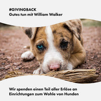 william-walker-comfy-cloud-hundebett-rund-dunkelgrau image 5