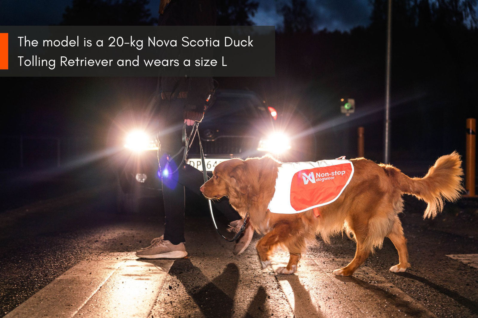 non-stop-dogwear-reflection-blanket-hundedecke-sichtbarkeit-3m-reflektor image 4