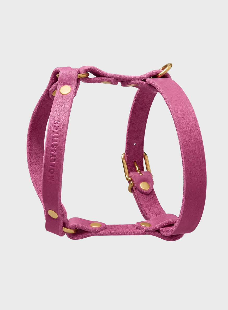 molly-and-stitch-butter-leather-y-geschirr-flamingo image 2