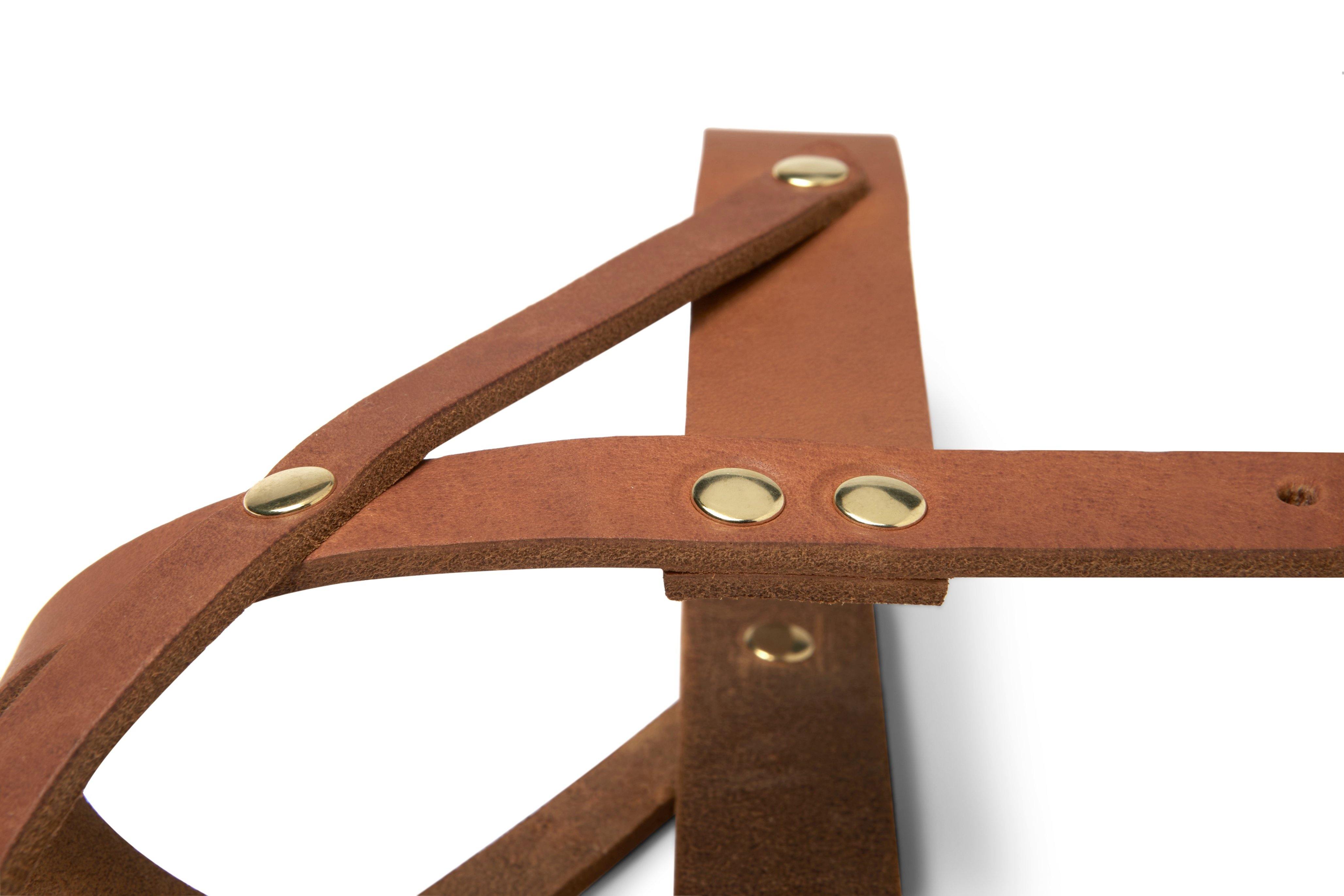 molly-and-stitch-butter-leather-hundegeschirr-sahara-cognac image 5