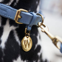 william-walker-twisted-sky-leder-hundehalsband-hellblau-geflochten image 7