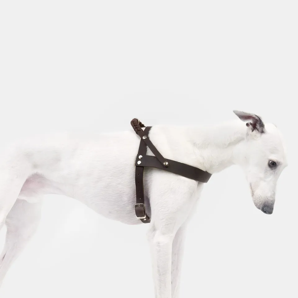 cloud7-central-park-hundegeschirr-saddle-brown-silver-fettleder image 1