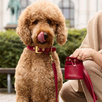 william-walker-leckerlibeutel-lambrusco-bordeauxrot-nappaleder-treat-bag image 6