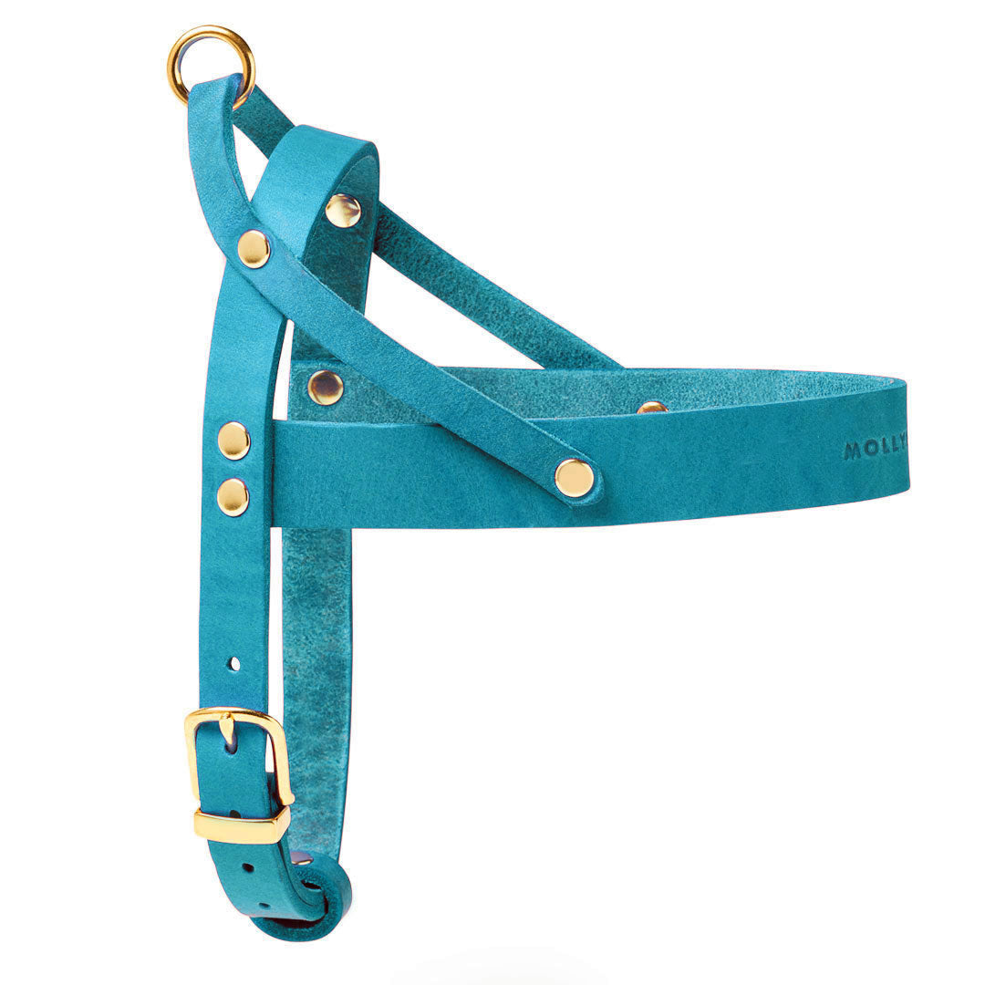 molly-and-stitch-butter-leather-hundegeschirr-fiji-blue image 1