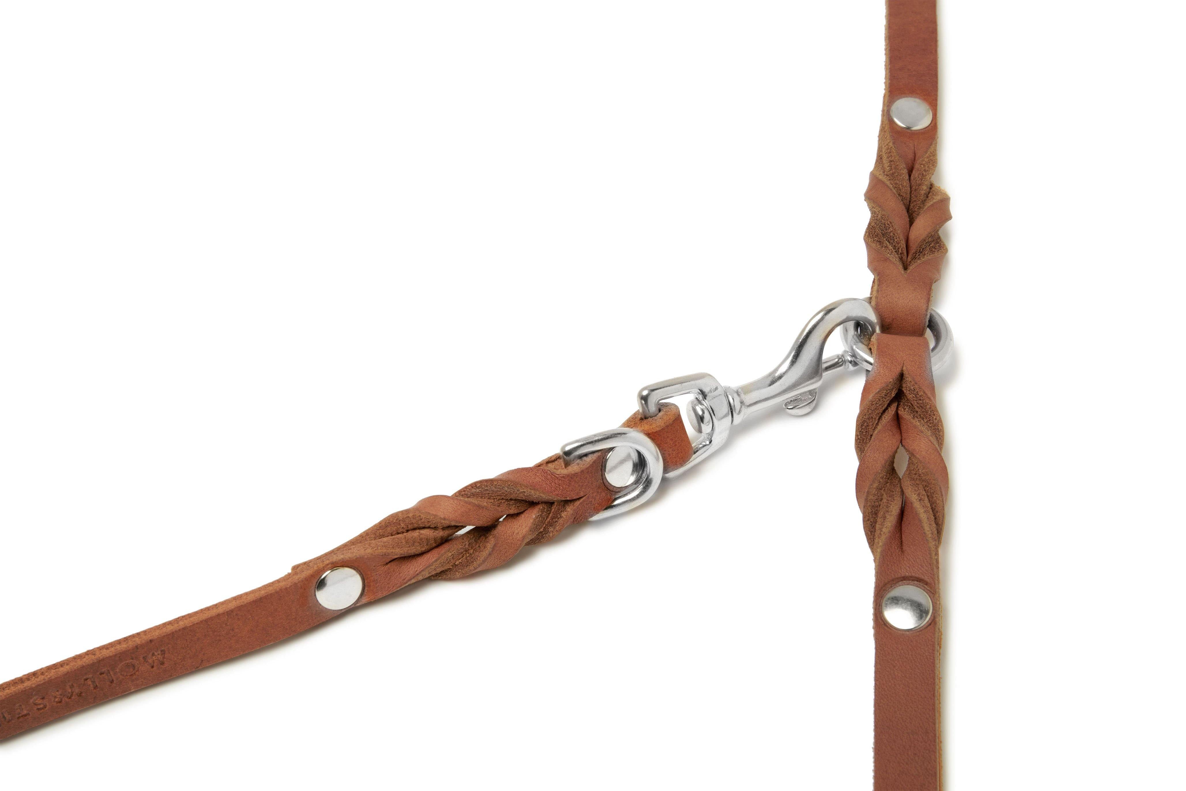 molly-and-stitch-butter-leather-3-fach-verstellbare-hundeleine-sahara-cognac image 6