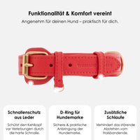 william-walker-leder-hundehalsband-chili-rot image 3