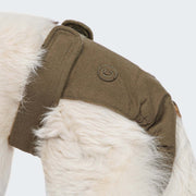 cloud7-l-ufigkeitshose-f-hr-olive-aus-baumwolle image 3