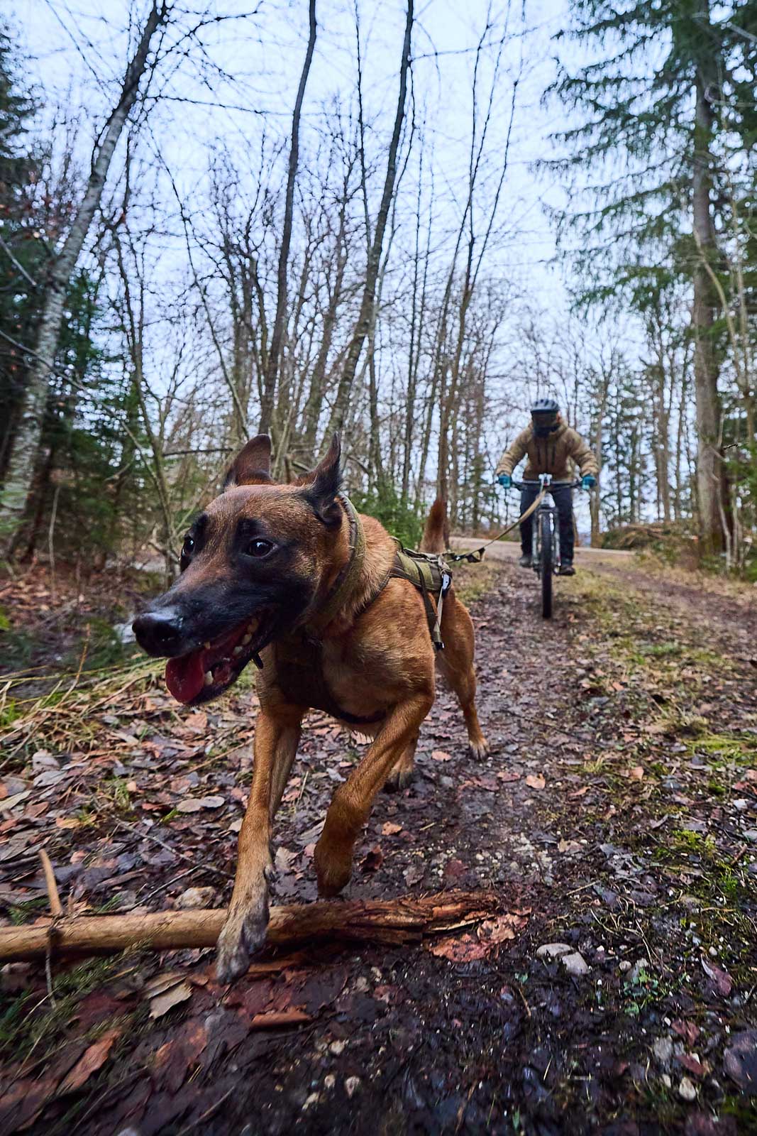 non-stop-dogwear-freemotion-harness-wd-zuggeschirr image 4