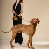 william-walker-luxe-glattleder-hundeleine-caramel-braun image 6