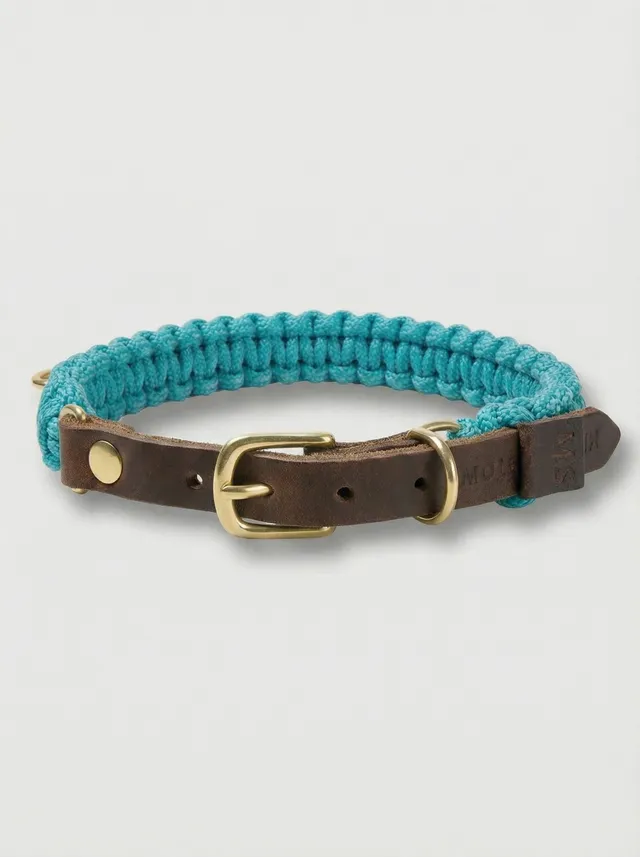 molly-and-stitch-touch-of-leather-hundehalsband-santorini-limited-edition image 1